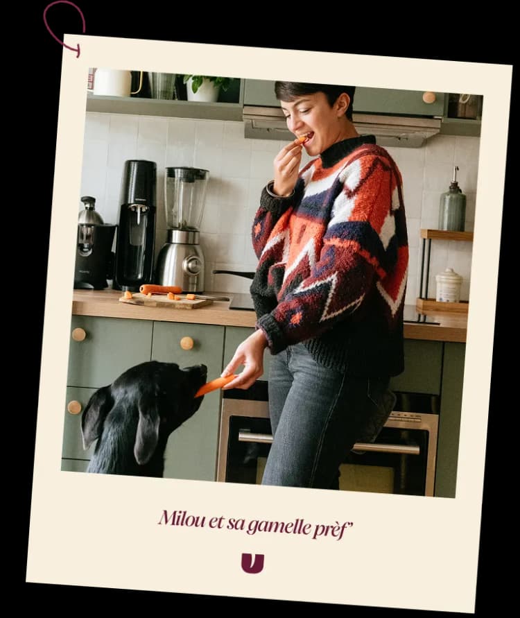 Introduction polaroid 2