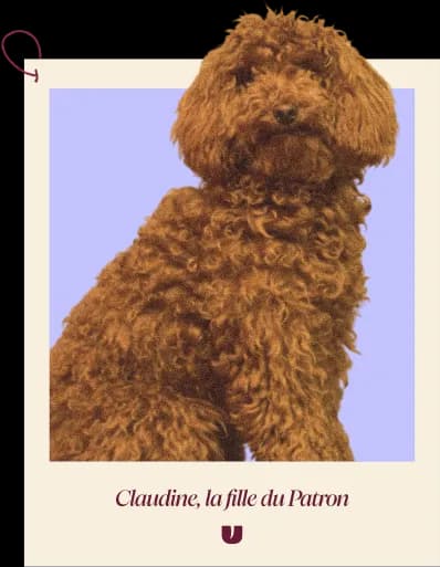 Claudine dog