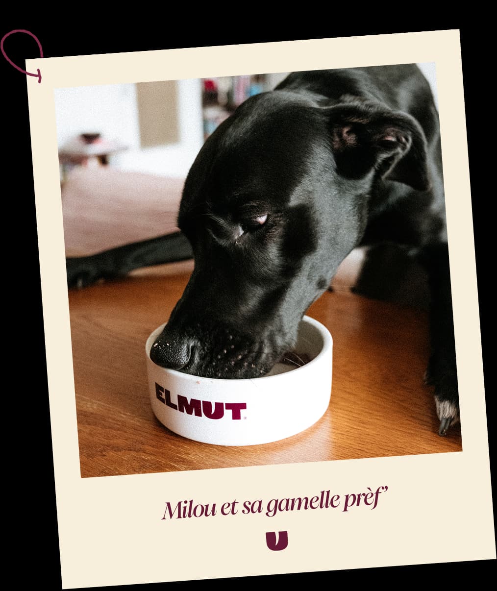 Milou