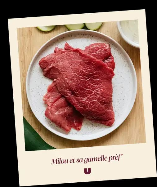 Beef cat recipe