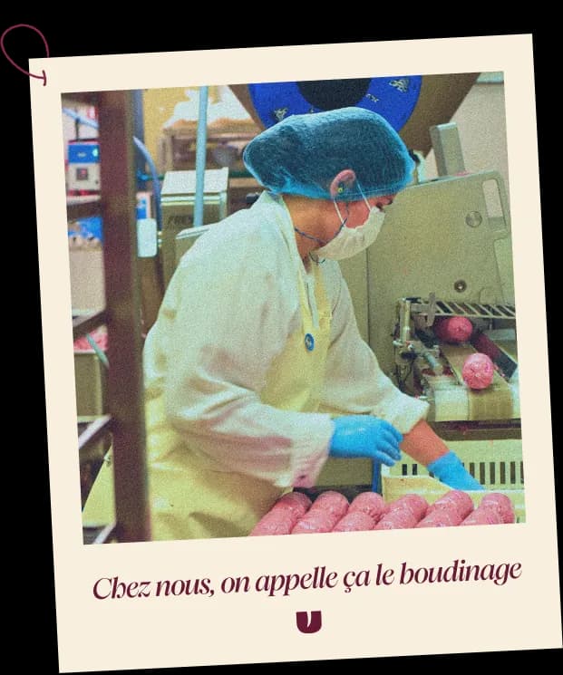 La patte Elmut : le boudin.